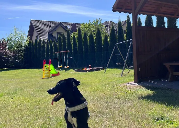 Amber Wyspa * Gdańsk